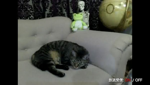 CY__CHwUAAAIo6T.jpg